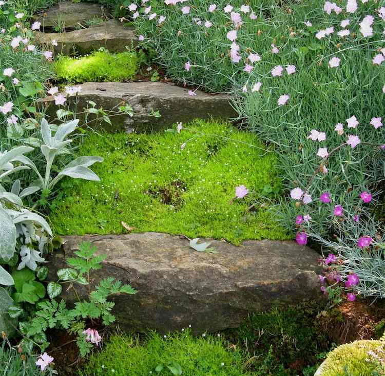 trädgård-trappor-bygg-själv-sten-natur-land-hus-mossa-pion-stjärna-mossa