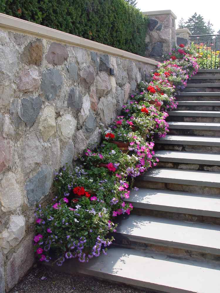 Bygg-din-egen-trädgård-trappor-grön-krukväxter-pelargoner