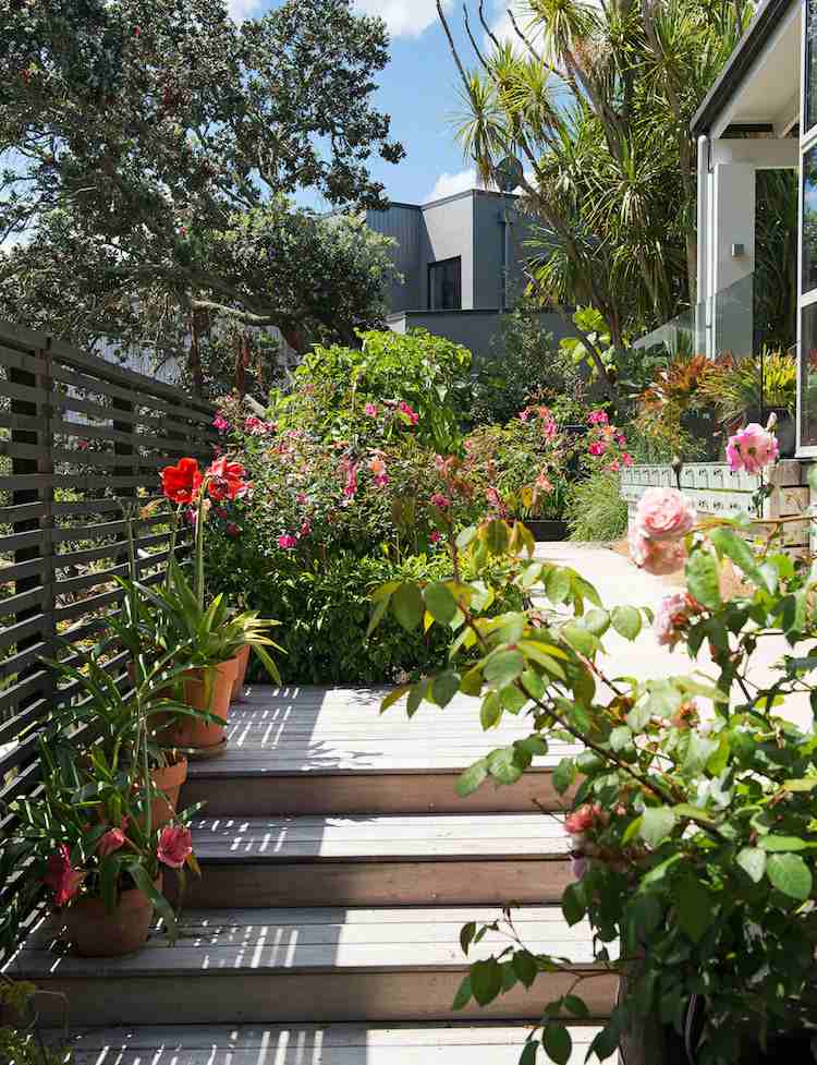 Bygg-din-egen-trädgård-trappor-trä-terrass-soliga-växter