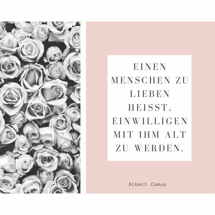 Citat från Albert Camus - Att älska en person betyder att samtycka till att bli gammal med honom