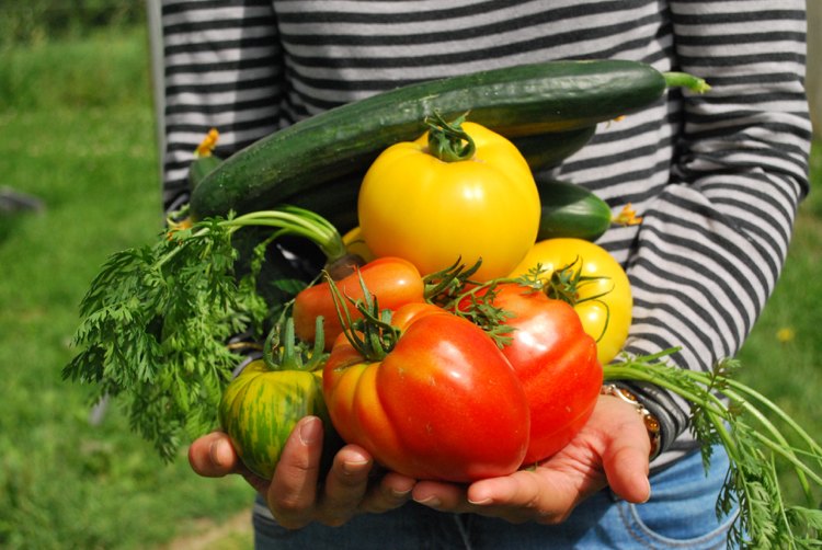 Ha din egen grönsaksträdgård utsökt hälsosammare