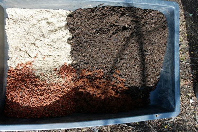 jord blanda grönsaker i blomkruka kompost lavasten kokossmör