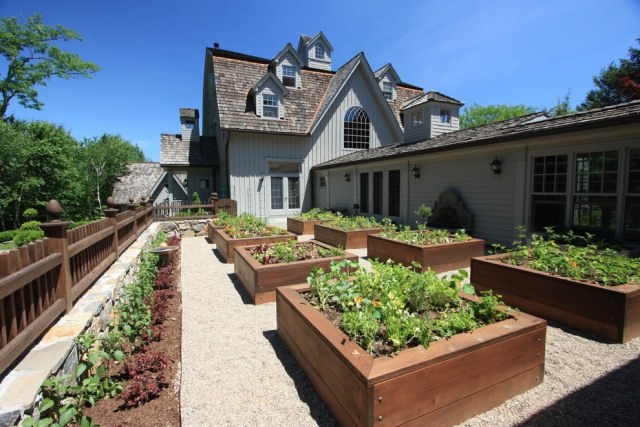 Grönsaksodling skapar ett stort hus med massor av utrymme grönsaker