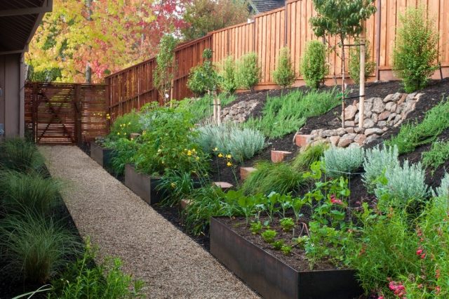 Grönsaks trädgård skapa intressant design trädgård väg rak form
