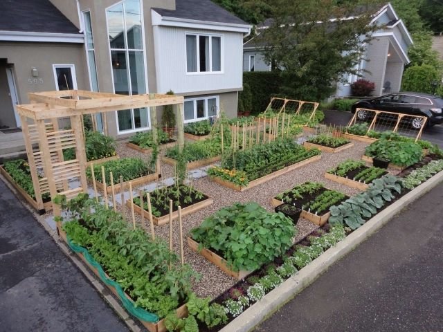 Grönsaks trädgård skapa idéer på gårdsplanen upphöjd säng