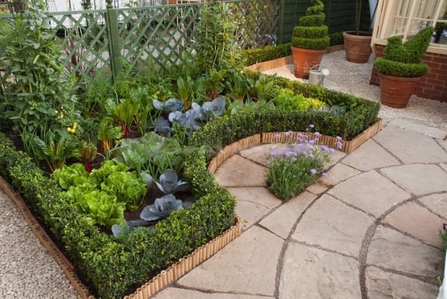 grönsaks trädgård idéer plan skapa innergård