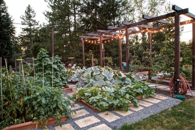 planera grönsaksträdgård skapa idéer trädgårdsbårspumpa