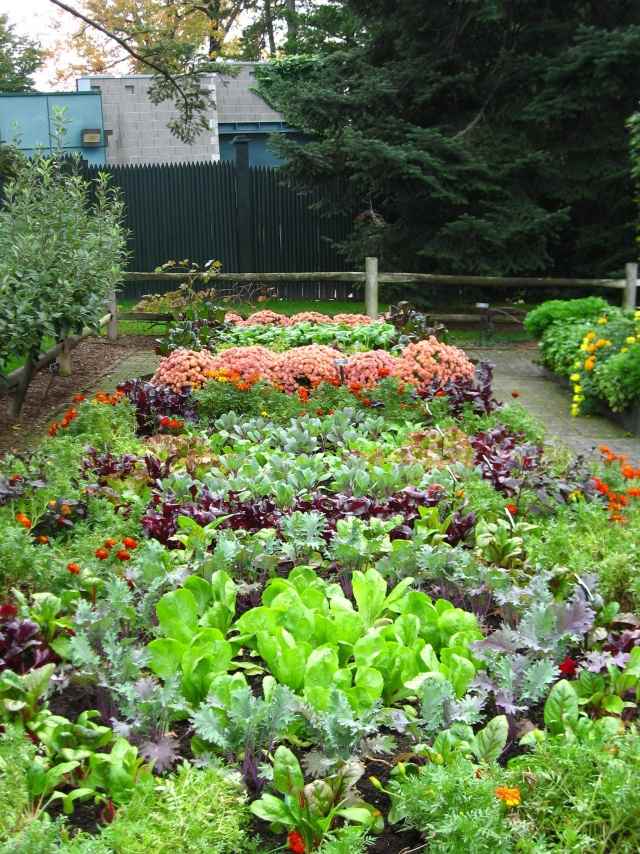 Skapa en trädgård plan idéer växtområden