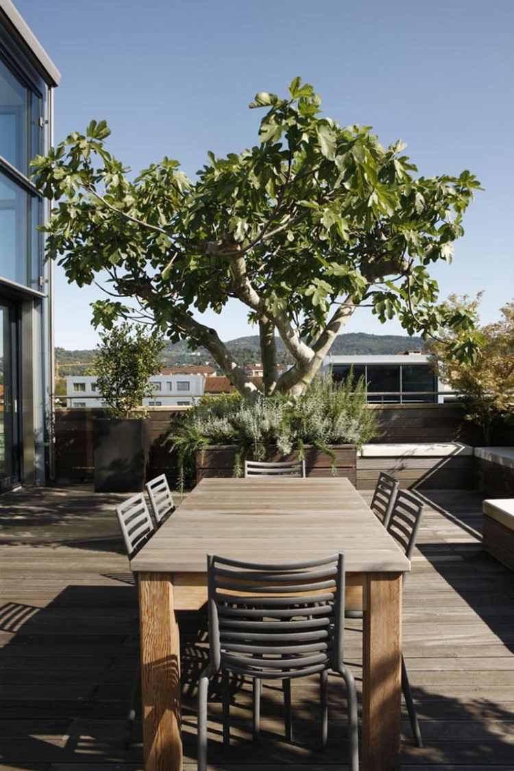 mysig-trädgård-design-utomhus-område-terrass-trädäck-fig