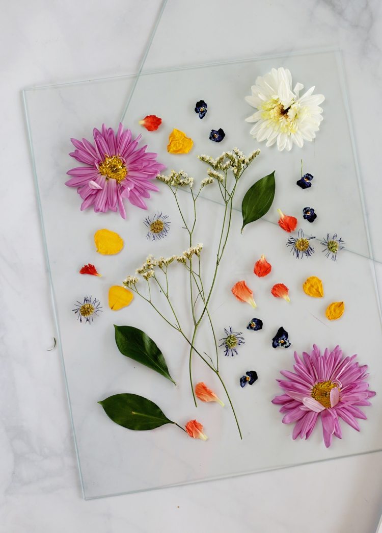 pressade blommor sommar-dekoration-blomma-blad-folie-glas