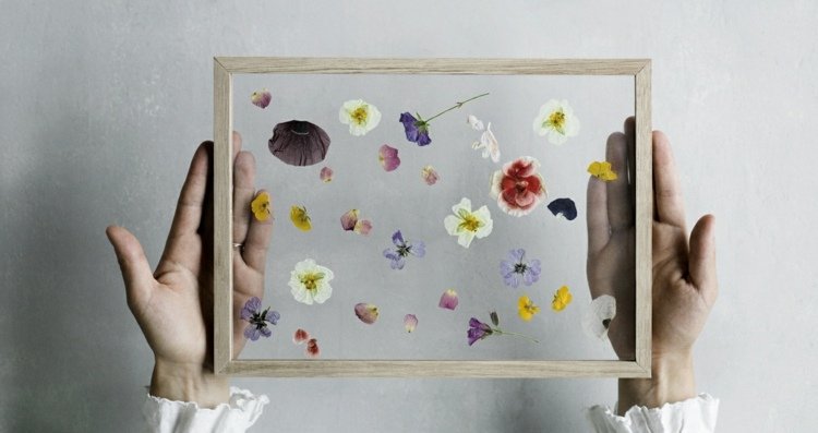 pressade-blommor-bild-ram-inspiration-glas-vår-humör