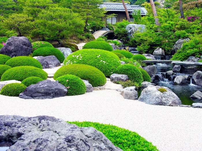 torr-japan-sten-trädgård-skapa-mossa-växt-tips