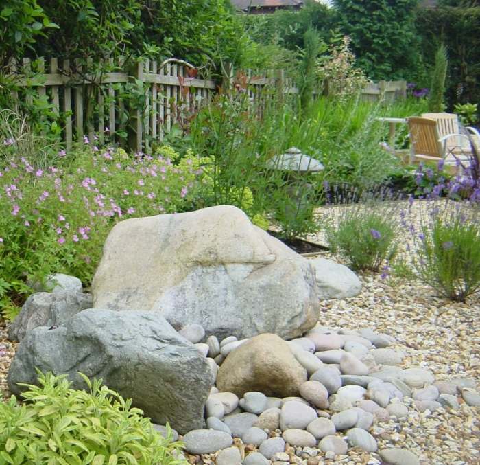 plantering-sten-trädgård-trädgård-damm-idéer-typer av växter