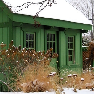 Trädgårdsdesign vinter grönt hus
