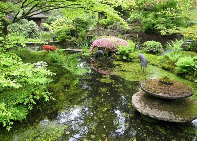 Frodiga trädgårdsdamm i asiatisk stil fontändekorationer siffror
