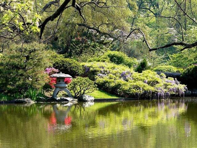 färger i japanska trädgårdsdammdekorationer idéer