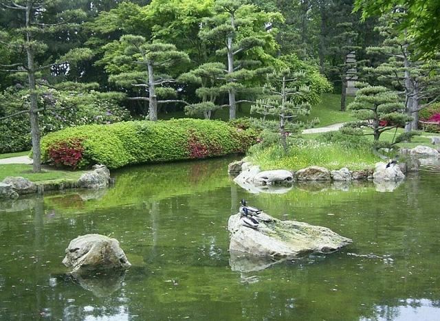 tips och tricks för japanska trädgårdsdesigner