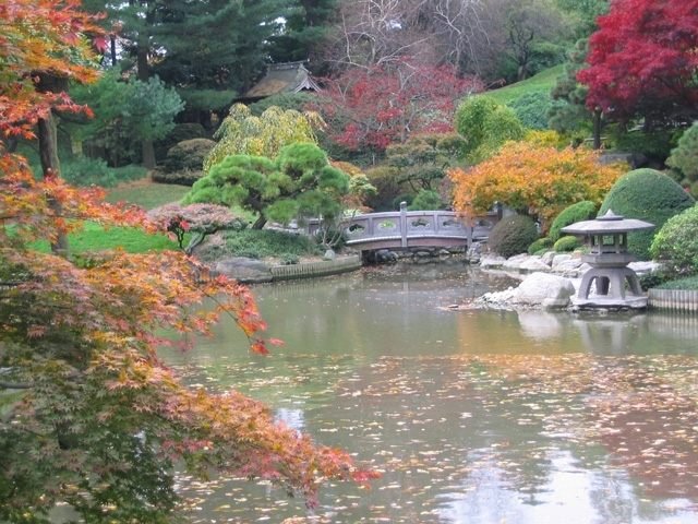 Japan trädgårdsdesign - blomningstid växter färger - beroende på årstid