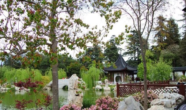kinesiska trädgårdsträd idéer vatten design zen atmosfär
