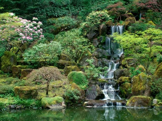 paradis trädgård med vattenfall skapa japansk stil