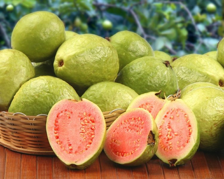 guava frukt som reglerar tarmaktiviteten rik på fibrer