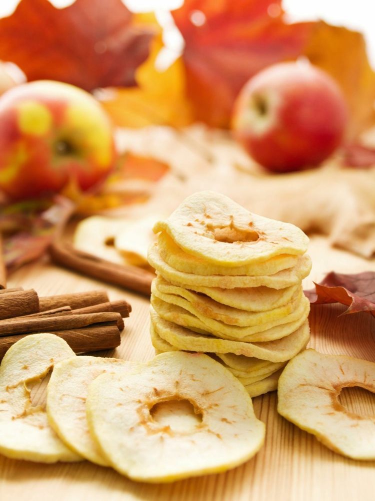 Gör-torkad-frukt-äpple-ringar-gör-själv-tips-ugn