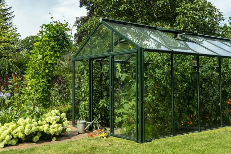 Glashushus med grön aluminiumkonstruktion för tomater och co