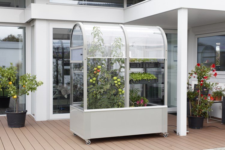 litet växthus av glas för balkongen, mobil på hjul