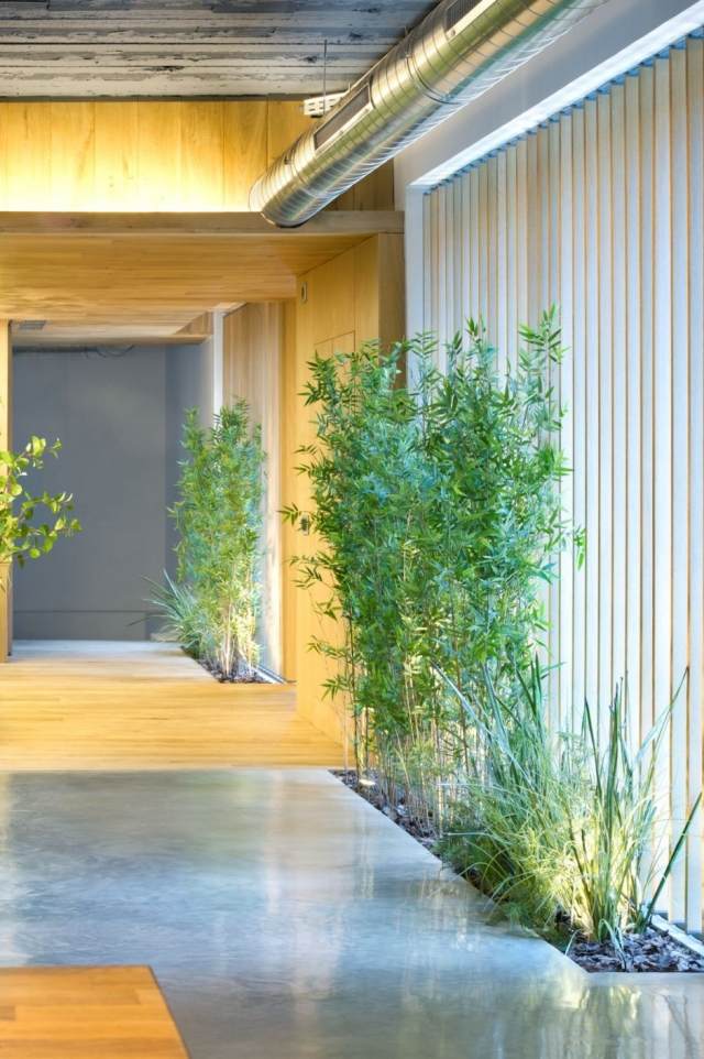 ombyggd loftlägenhet interiör trädgård betonggolv trä bambu växter