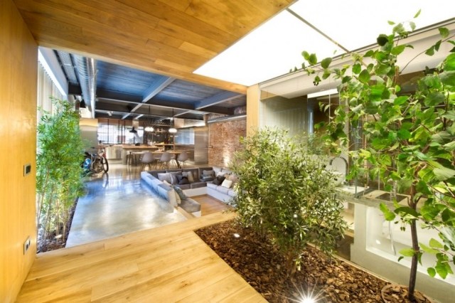 loft lägenhet med inre trädgård badrum glas vägg vardagsrum