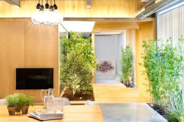 modernt loft lägenhet interiör trädgård bambu växter träbetong
