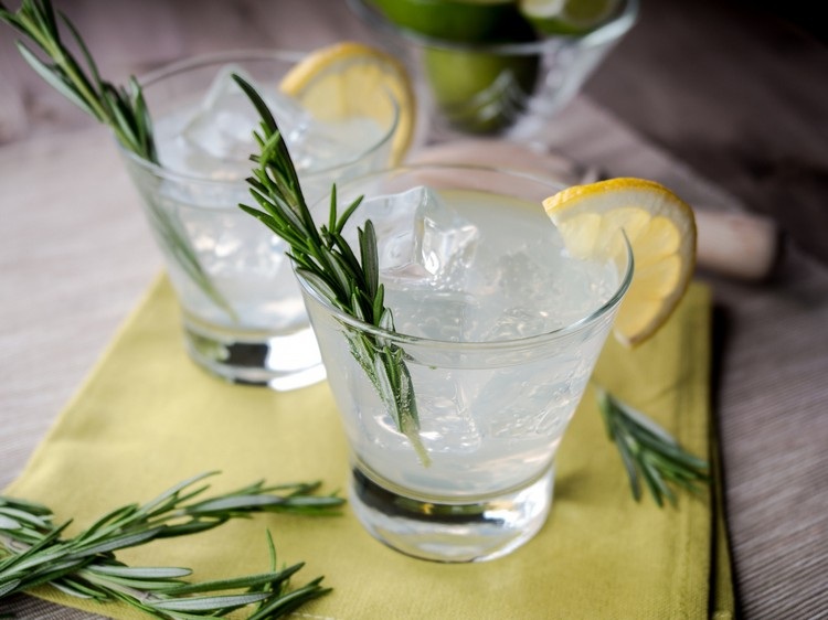 Gin och tonic receptberedning-rosmarin-citron