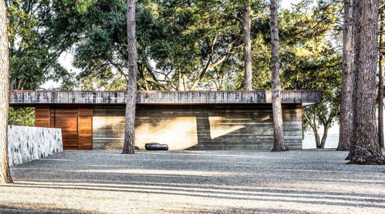 glas-hus-natur-skog-modern-arkitektur-betong-platt-tak