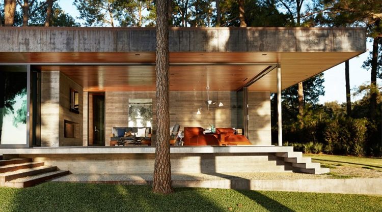 Glas på huset-platt-tak-gräsmatta-betong-trä-träd