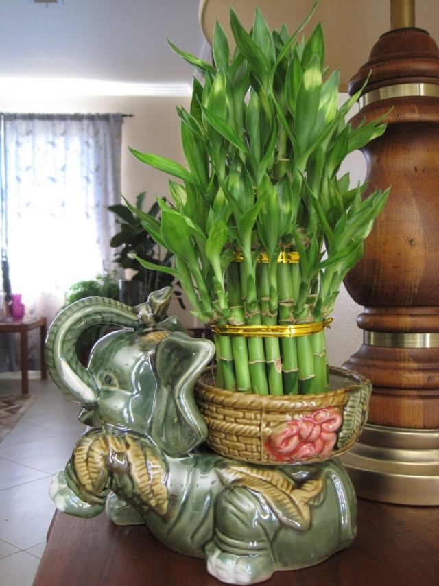 Lucky bambu symbolik elefant keramisk skål