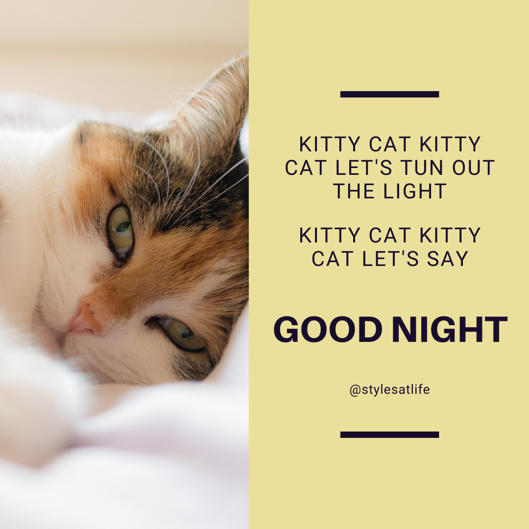 Kitten Good Night Images