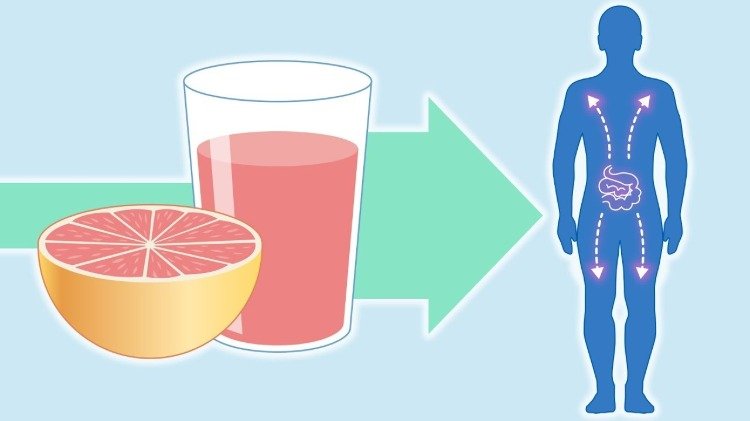 cytokrom P450 efter intag av grapefruktjuice påverkar ämnesomsättningen av toxiner