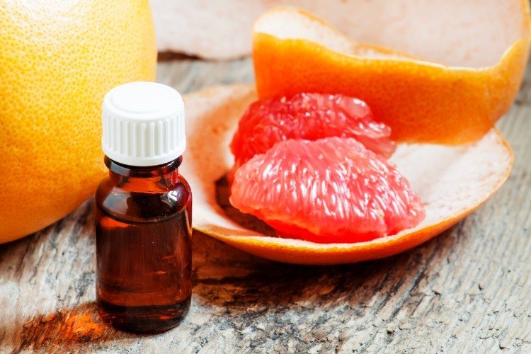 grapefrukt extrakt i en liten flaska som oljeanvändning som ett naturligt botemedel