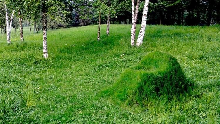gräs-soffa-bygg-din-egen-frö-sits-design-helt enkelt-björk