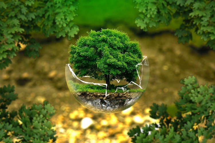 grön ekonomi grön ekonomi-miljöskydd-klimatförändringar