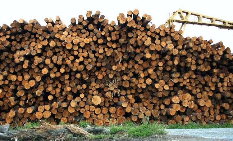 grön-ekonomi-hantering-begränsade-resurser-trä