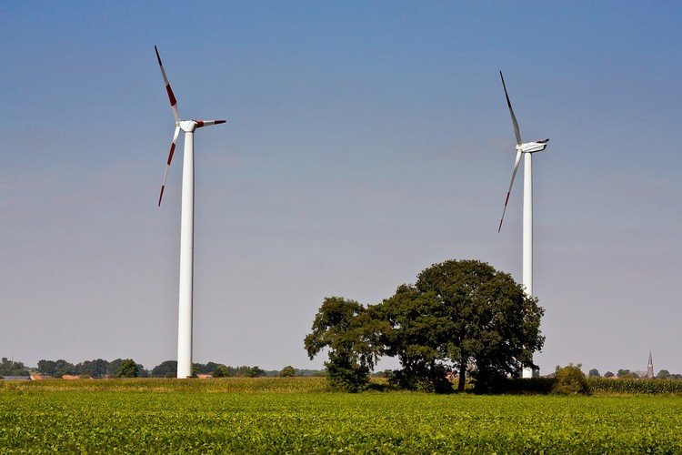grön-ekonomi-grön-ekonomi-hållbarhet-vindkraft