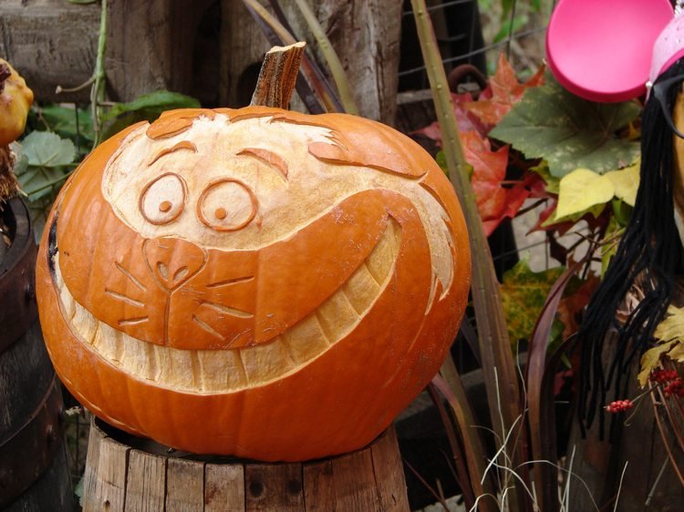 Carved Pumpkin Cheshire Cat från Alice in Wonderland Pumpkin Meat