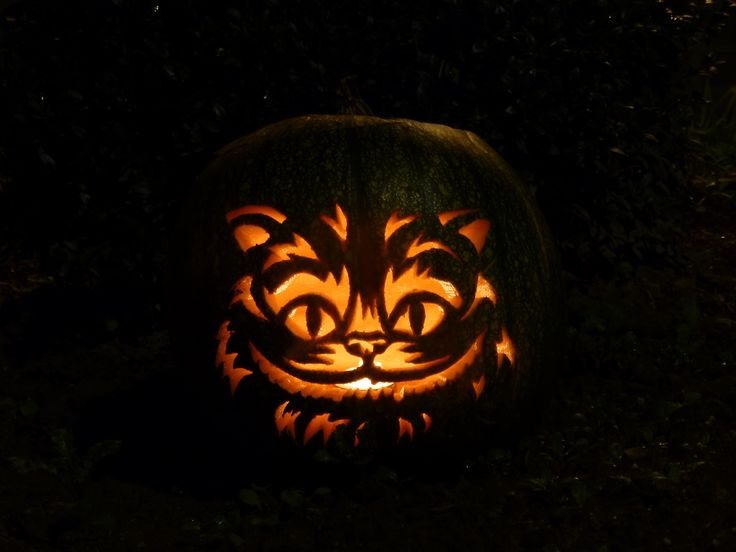 Cheshire Cat Pumpkin Tim Burton Karaktär Realistisk
