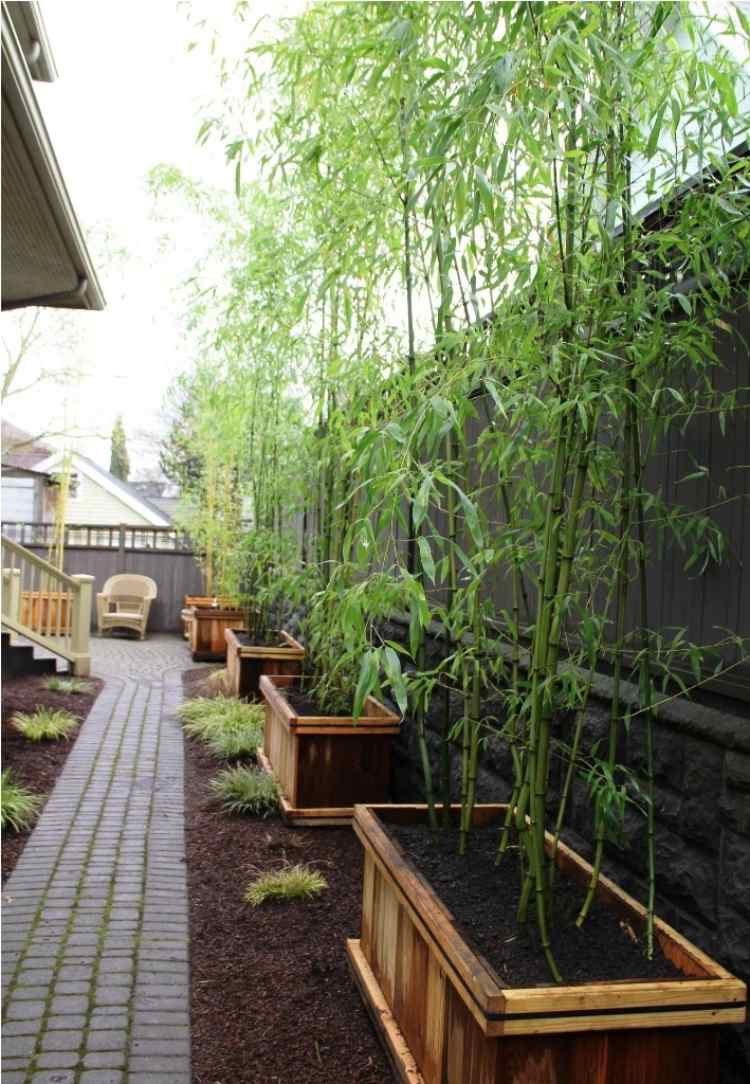planter-trä-bambu-trälådor-utomhus-trädgård-jord-stig
