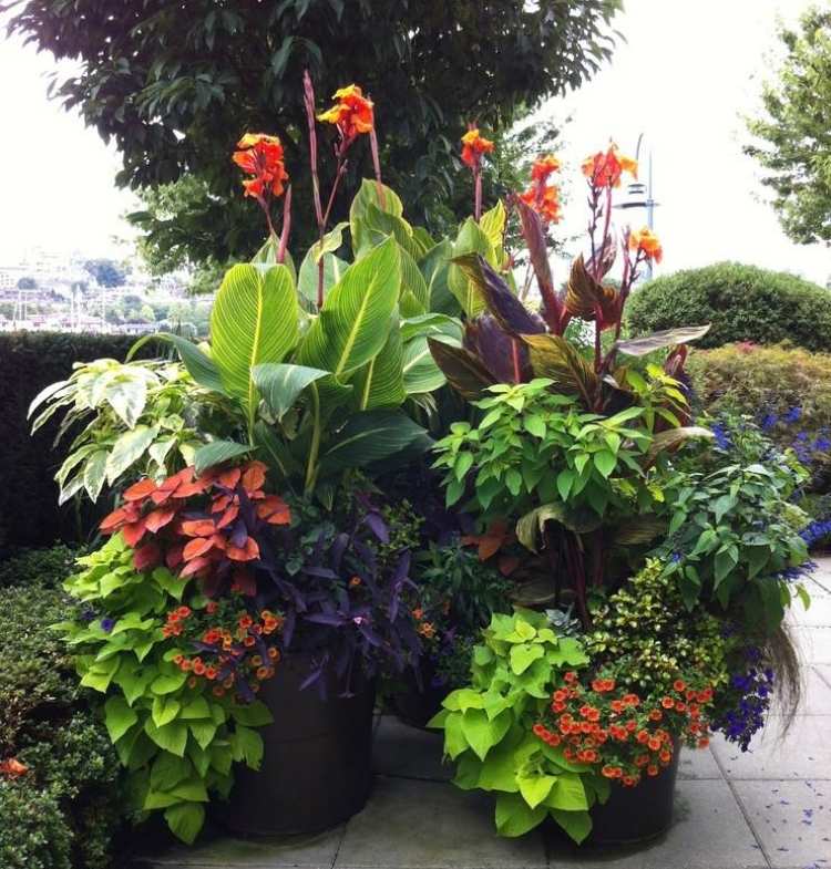 stor-planter-plantering-färgglada-växt-kombinationer
