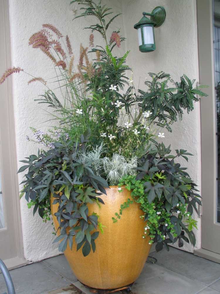 stora-plantering-badkar-plantering-hög-växter-hängande-växt-sorter