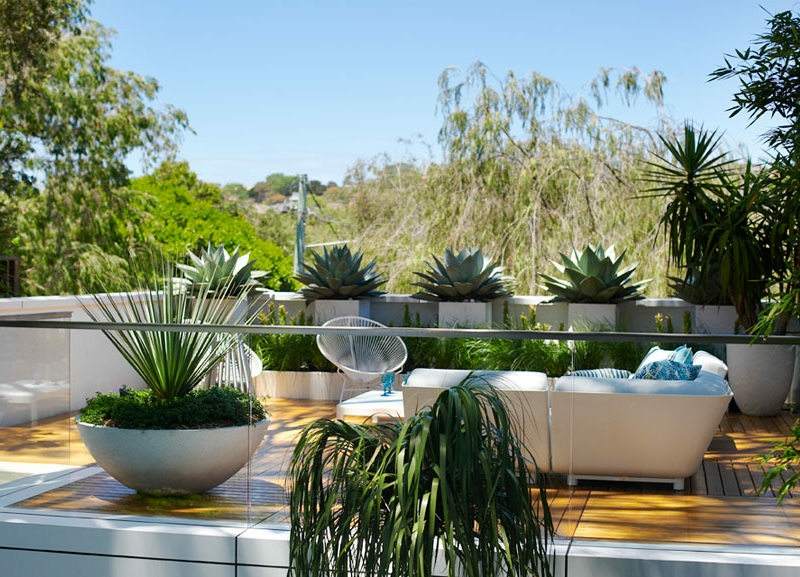 Stor planter i trädgården modern-terrass-markskydd-ormbunkar-träterrass