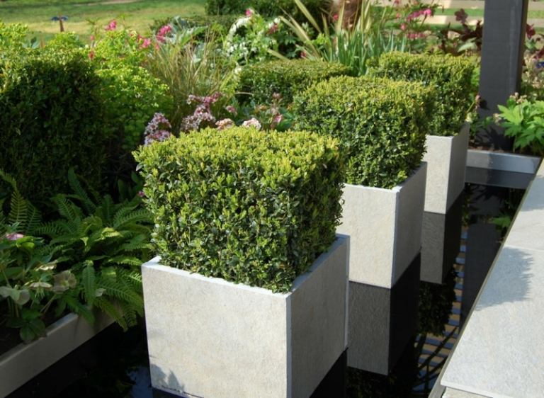 Planter-trädgård-betong-trädgård damm-bok träd-form-snitt