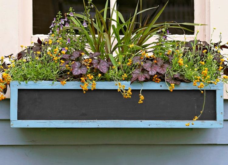 Plantera gräs i fönsterlådor, tips och möjliga kombinationer